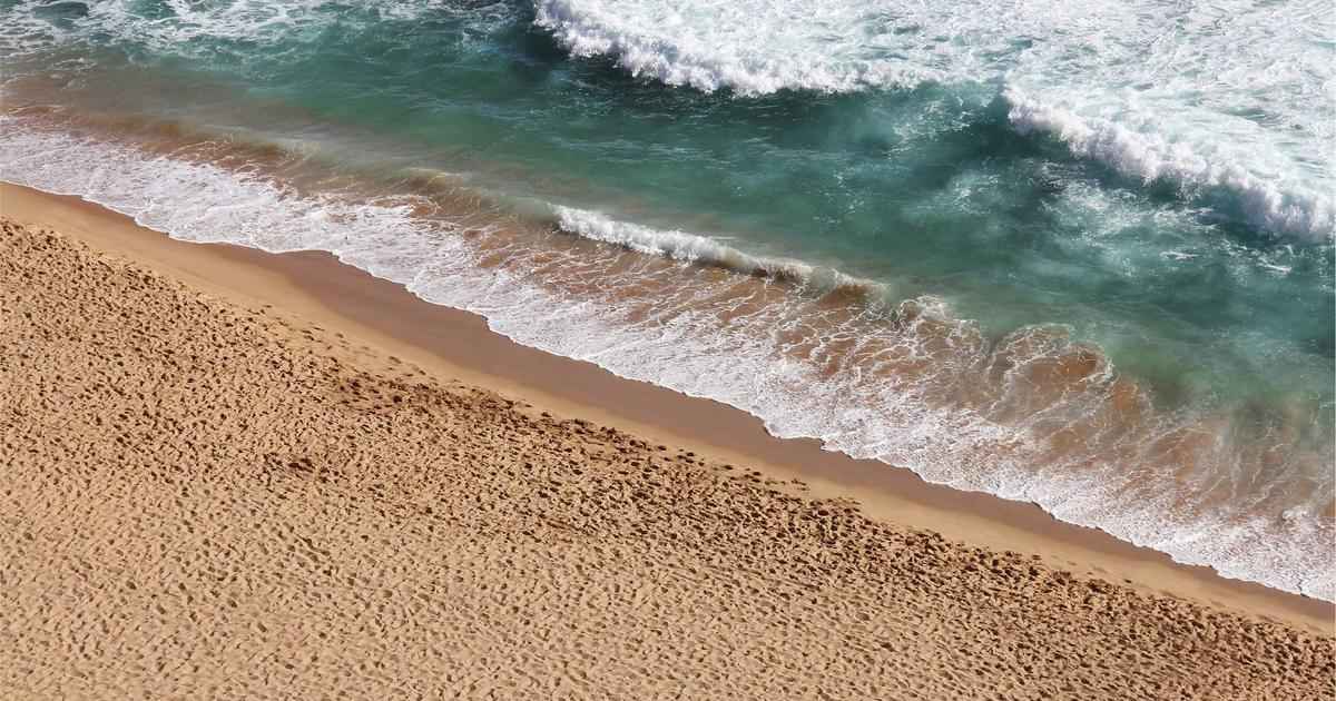 Launching the Site Built with GenSpark! Cloudflare, Sakura, and XSERVER: A Comprehensive Comparison